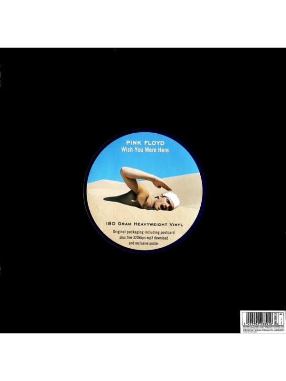 Pink Floyd  Wish you were here