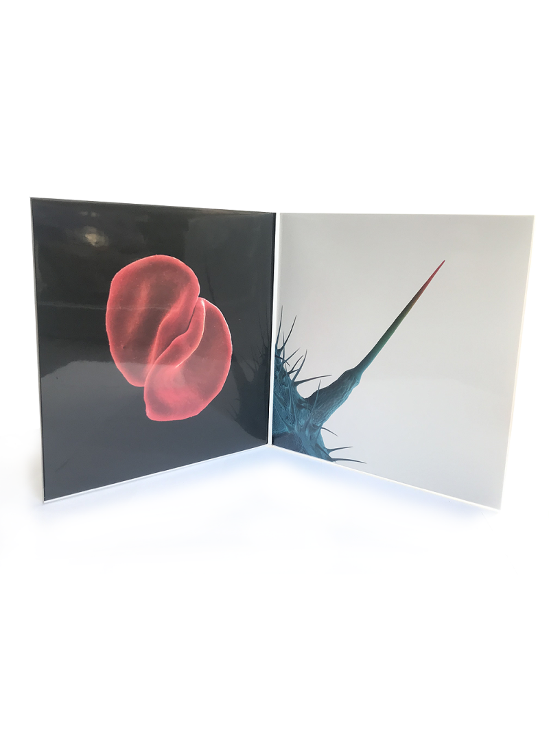 Pochettes extérieures Gatefold transparentes pour vinyles LP